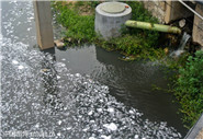 污水處理廠進(jìn)水口水質(zhì)、出水口水質(zhì)12項(xiàng)必檢項(xiàng)目指標(biāo)